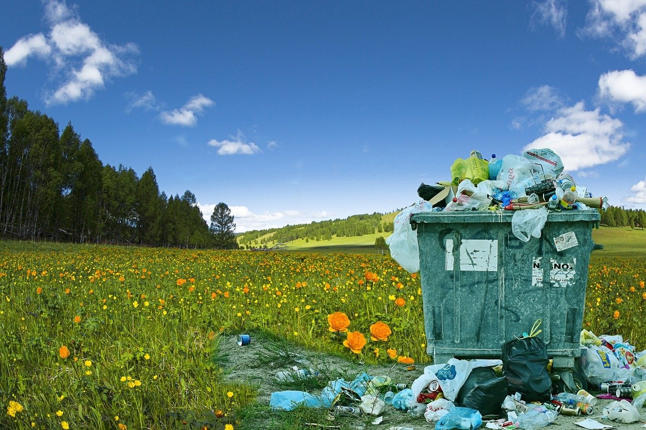 Les grands défis écologiques et comment y répondre efficacement